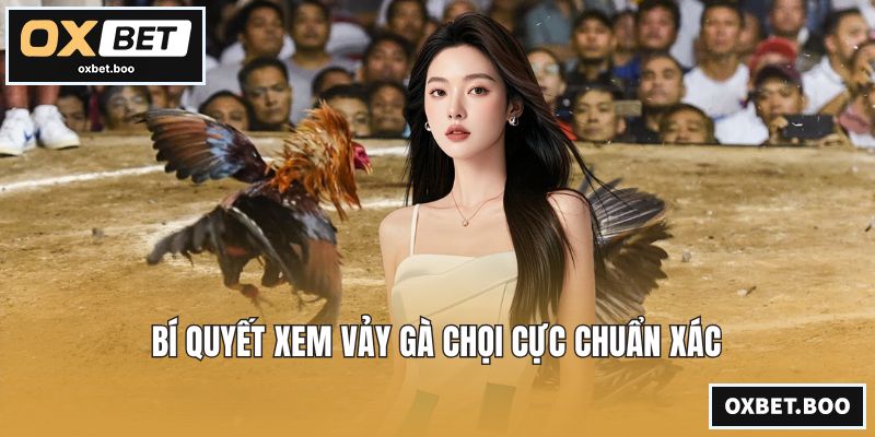 Bí quyết xem vảy gà chọi cực chuẩn xác