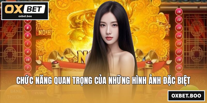 Chức năng quan trọng của những hình ảnh đặc biệt