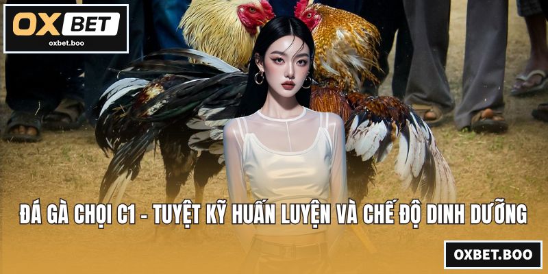 Đá Gà Chọi C1