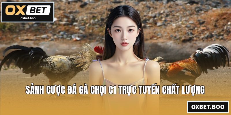Sảnh cược đá gà chọi C1 trực tuyến chất lượng
